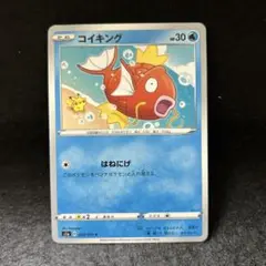 【2点目から200円引き】コイキング 管理番号:25082211
