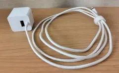ロジテック 充電器 LPA-ACLAW158SWH