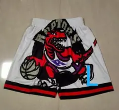 新品 NBA トロント・ラプターズ マグレディ　ヴィンス・カーター