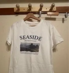 新品タグ付きTシャツ