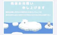 残暑見舞い　私製ハガキ　10枚　シロペン　流氷　かわいい　おしゃれ