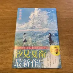 あの夏のキミを探して