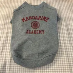 Item thumbnail for item 20128ee3-cd00-4d2a-9611-80b580f1dadf