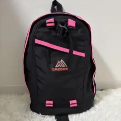 【美品】GREGORY バックパック ネオンピンク