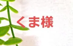 専用