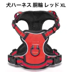 Item thumbnail for item 5a2e5fcf-b085-4c9d-81d4-39df49e99620