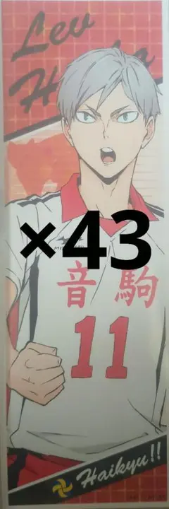 灰羽リエーフ ロングステッカー ロンステ 43枚