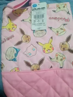 新品未使用ポケットモンスターシューズケース