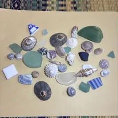 【509】シーグラス　貝殻　タカラガイ　サザエ　マツバガイ　巻貝　シー陶器　青