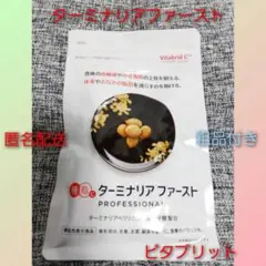 『大人気』ビタブリッドジャパン ターミナリアファースト 120粒