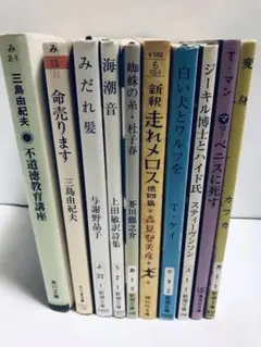 文学10冊セット 文庫