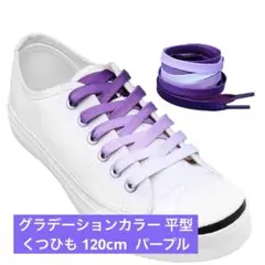 グラデーションカラー 平型くつひも 120cm パープル　男女兼用