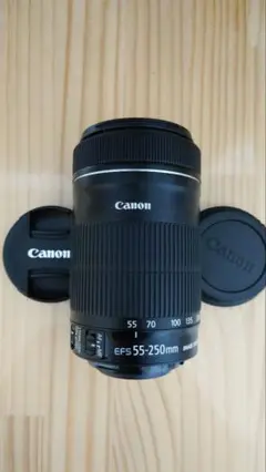 ★実用品★ Canon キャノン 55-250mm F4-5.6 IS STM