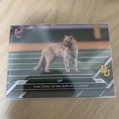 CAT トレーディングカード 2024 topps