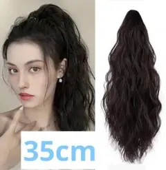 Item thumbnail for item 2a026c00-efaf-4d6b-8a3d-41e8e1ad1c19