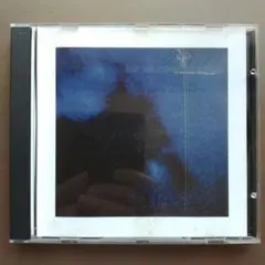the black dog PARALLEL