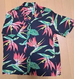 Item thumbnail for item 3ae5ca2b-60a6-4e1a-b660-769e55182044