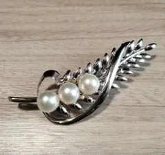 Item thumbnail for item 2af65f8c-07ca-493d-9490-a0aa631aa107