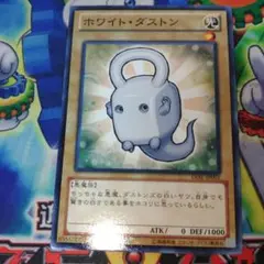 ホワイトダストン