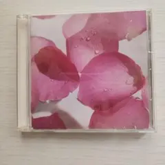 今井美樹 Blooming Ivory　CD