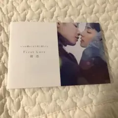 新品 first love 初恋 ブックレット