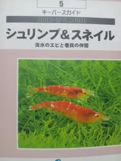シュリンプ＆スネイル ガイド 5