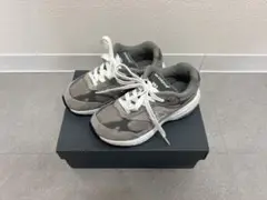 Item thumbnail for item af1c261c-5b56-41ab-ae8d-550a8ded7325