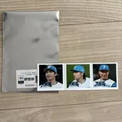 北海道日本ハムファイターズ　大航海　フォトチップス　17 伊藤大海