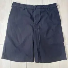 Stussy ネイビー ストライプ ショートパンツ 32