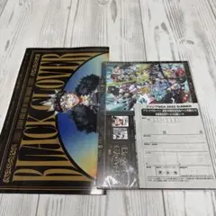 ジャンプGIGA 2025 SUMMER ブラッククローバー 付録 応募券