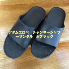 Item thumbnail for item 8f0d13af-092e-429c-9be4-47cac928dab2