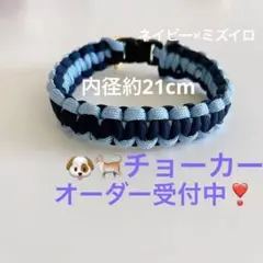 Item thumbnail for item 17bd5770-b752-44d9-9785-e58688a1dc49