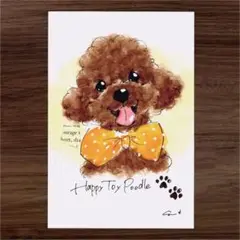 イラスト 原画 ポストカード 絵 【トイプードル】87
