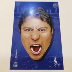 ベイスターズ ☆ ポストカード【交流戦シリーズ】