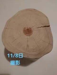 ◇丸太椅子 自然素材◇手作り 桧スツール◆ヒノキ切り株◆伊豆檜 高さ約20cm