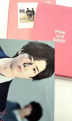 PINK and GRAY ピンクとグレー DVD 中島裕翔 菅田将暉