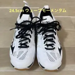 24.5cm ミズノ バレーボール シューズ