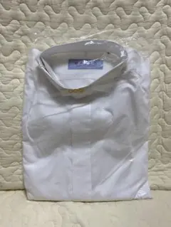 Item thumbnail for item de688c09-c32f-4e9c-afe9-092784b07141