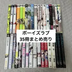 BLコミック ボーイズラブ 他 まとめ売り 35冊 セット