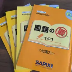 ＳＡＰＩＸ 国語の要4冊セット 4年生　2022年版