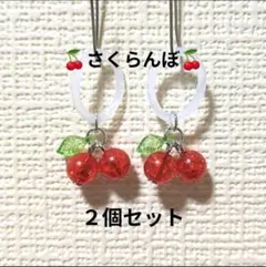 アンブレラマーカー ペットボトルマーカー めじるしアクセサリーコネクタチャーム
