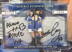 Item thumbnail for item 3ba74d0c-7445-49ce-b78c-cd48e853ec85