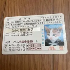 希少　非売品　なめ猫免許証　シルバーレア