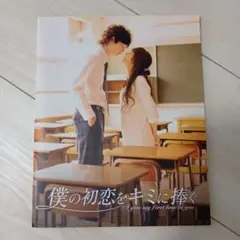 実写　映画　僕の初恋を君に捧ぐ　パンフレット　井上真央　岡田将生他