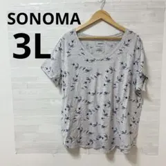 Item thumbnail for item f86244bc-1a6d-419e-b9c8-28d1dbced44d