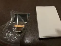 Item thumbnail for item 16b30042-f95b-4d7c-8be3-59692576475c