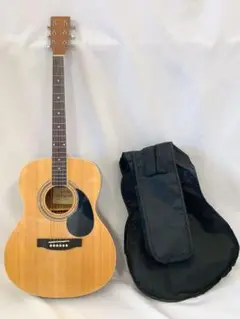 【美品】アコースティックギター アコギ HONEY BEE F-15N
