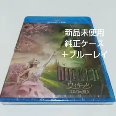 Item thumbnail for item c92b61e4-05a5-4453-8c98-008417bab8d6