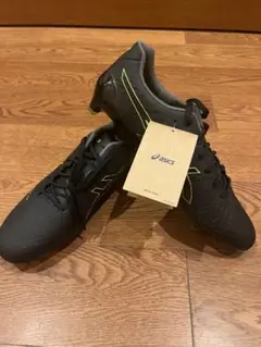 asics dsライトアクロス
