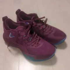 Item thumbnail for item f2aa4073-65c2-47b5-8494-8dcd4f35bcdc